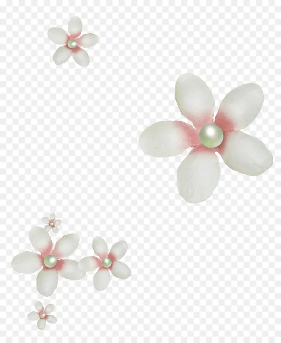 Pétale，Fleur PNG