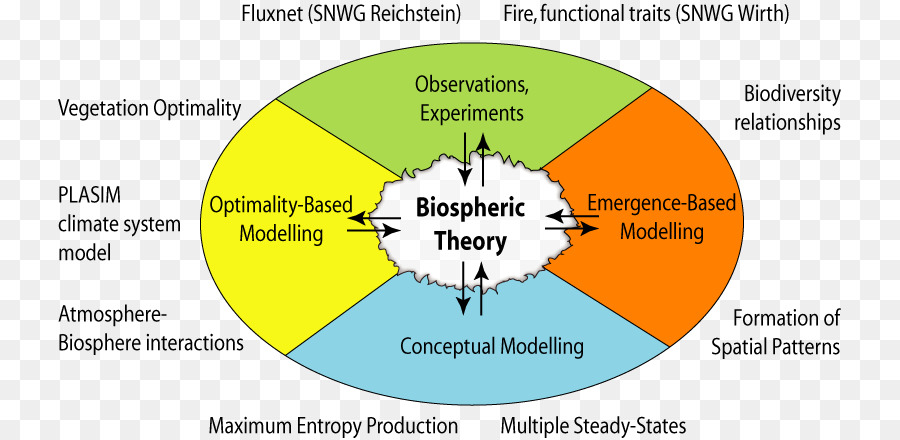 Organisation，Théorie Des Systèmes écologiques PNG