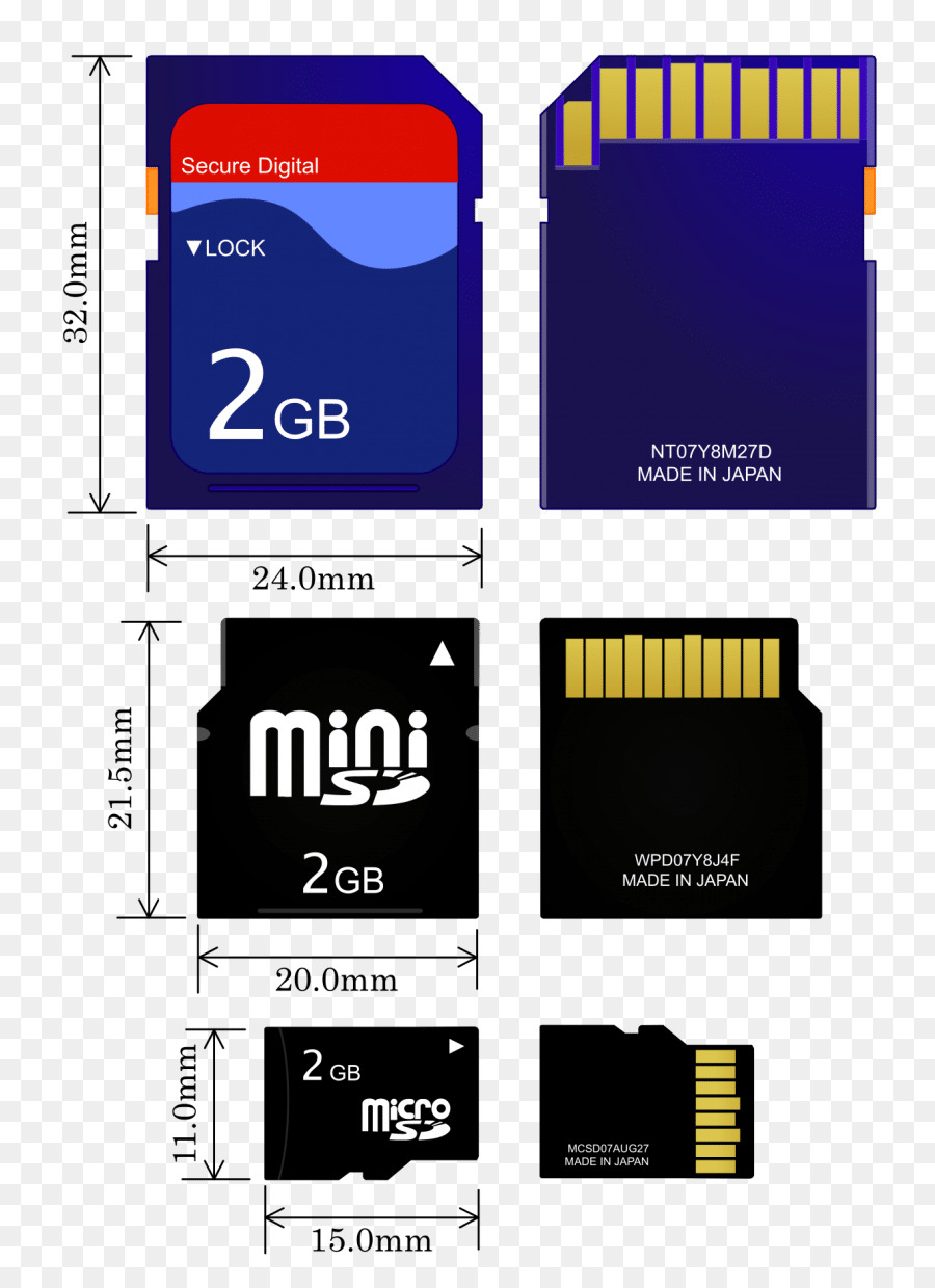 Carte Minisd，Secure Digital PNG