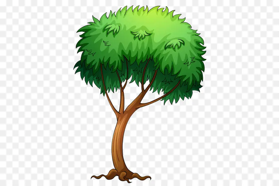 Arbre，Usine PNG