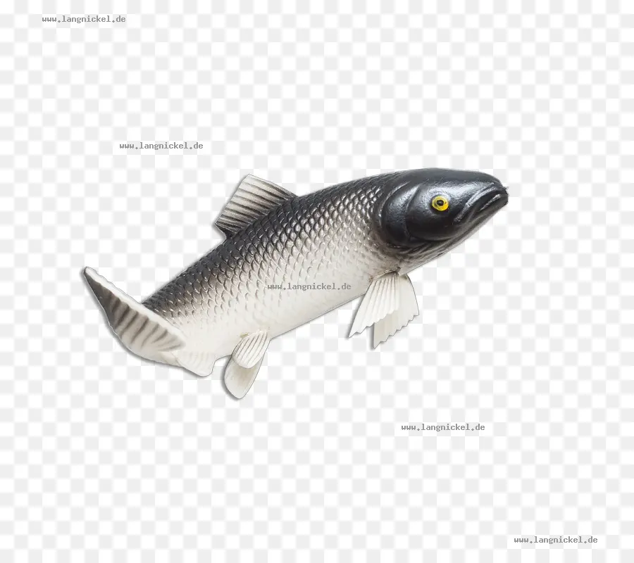 Chano，Les Poissons PNG