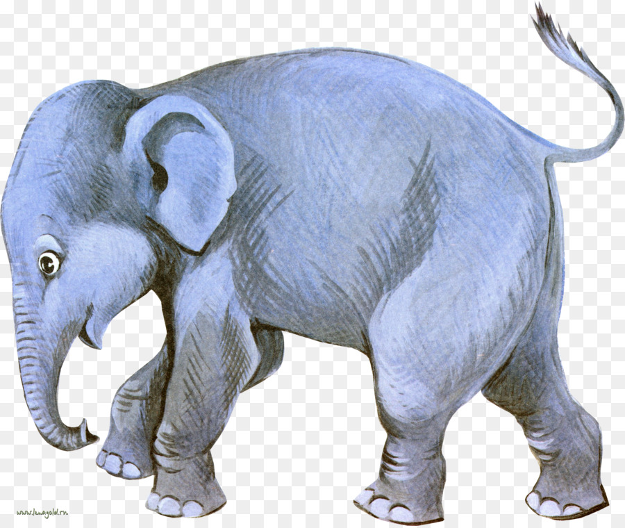 Éléphant Violet，Éléphant PNG