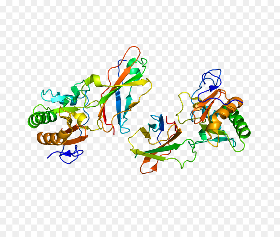 Structure Des Protéines，Molécule PNG