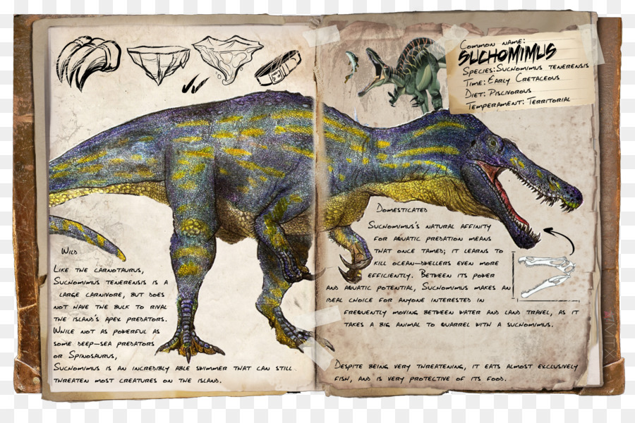 Illustration De Dinosaure，Préhistorique PNG