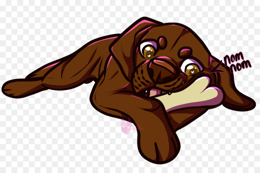 Chien，Museau PNG