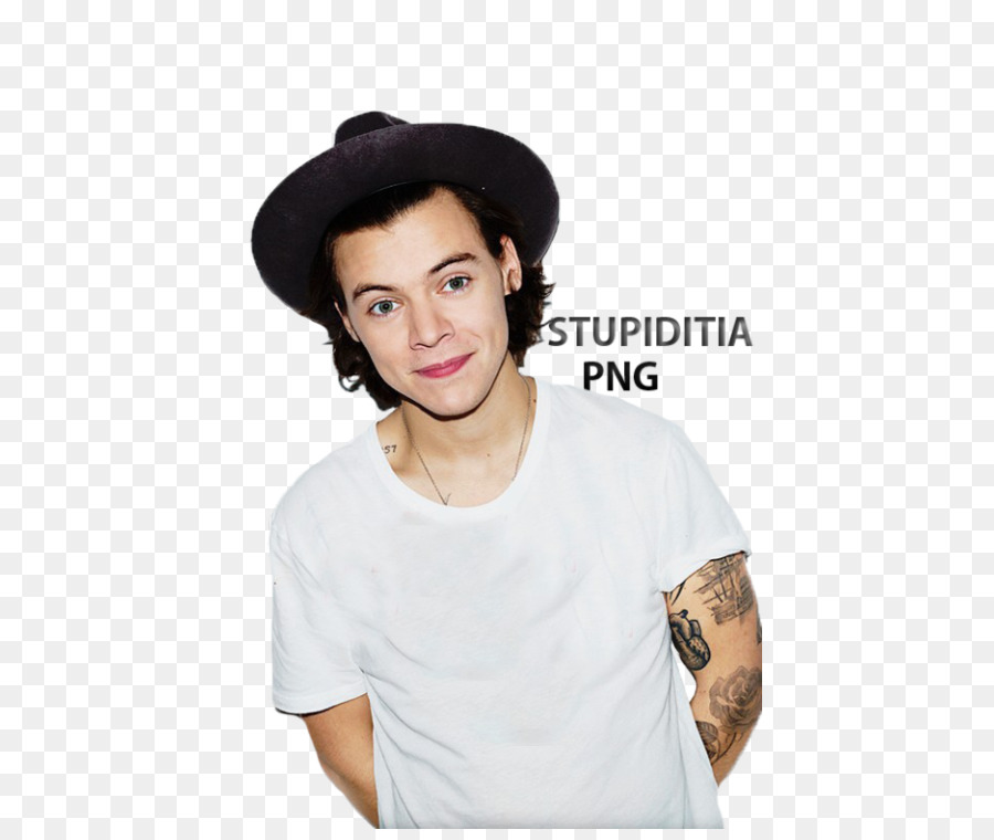 Harry Styles，Une Direction PNG