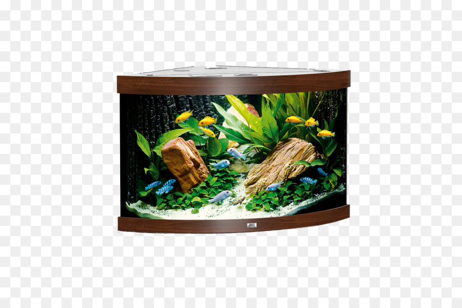 Aquarium，Koi PNG