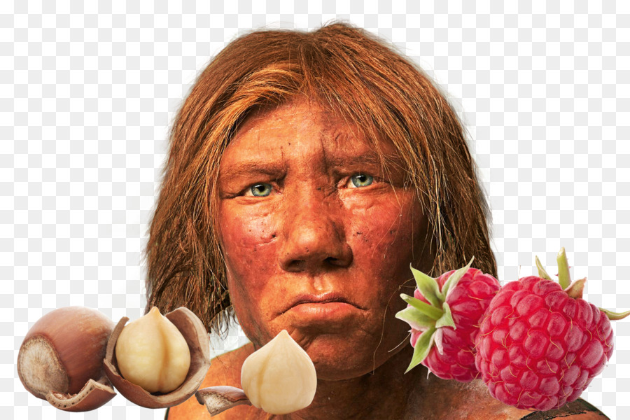 Neandertal，Sage PNG