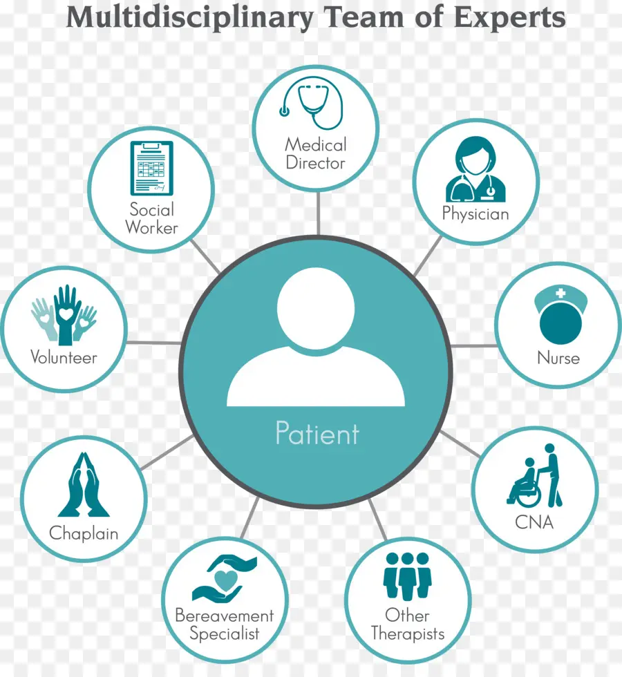 Équipe Multidisciplinaire，Soins De Santé PNG