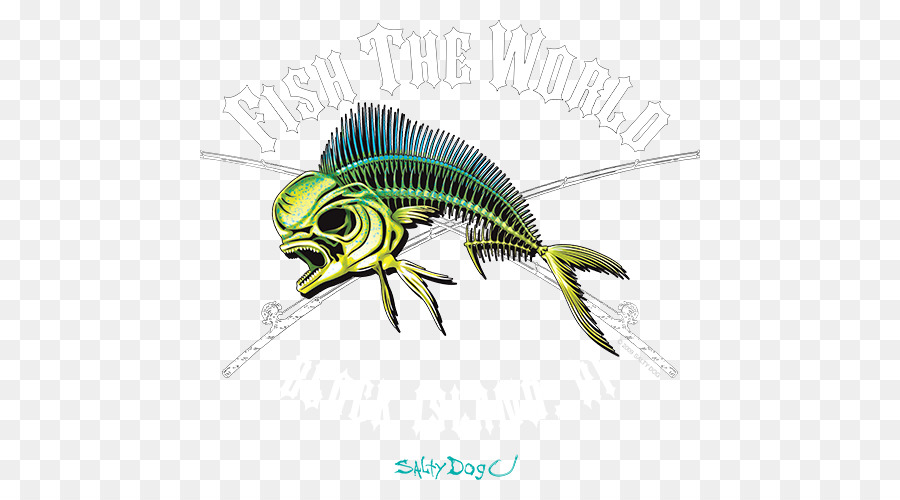 Squelette De Poisson，Art PNG