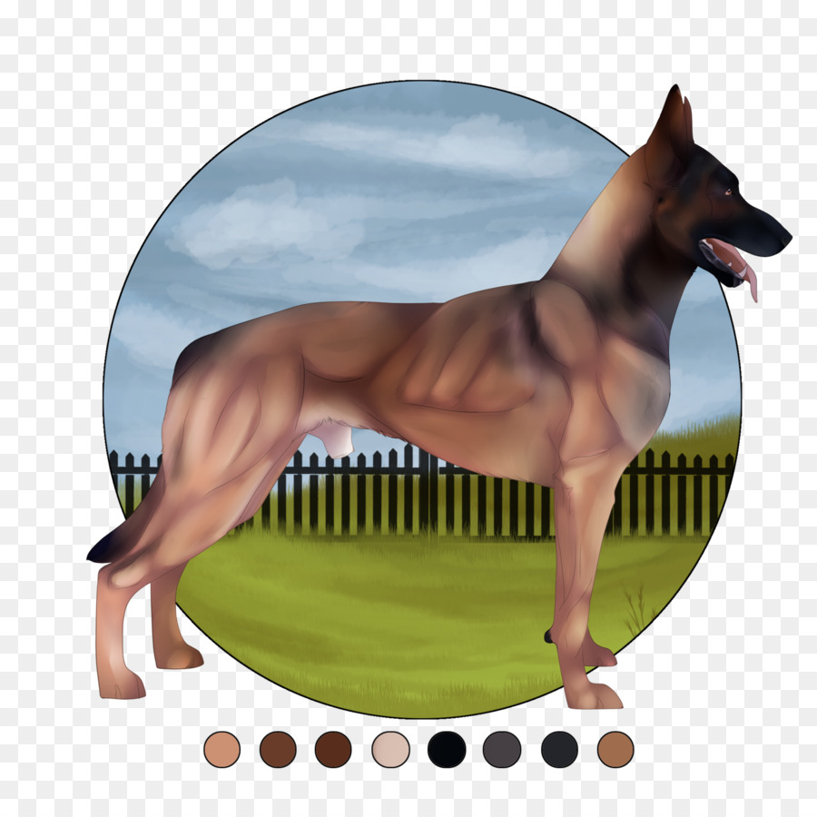 Race De Chien，Paria Chien PNG