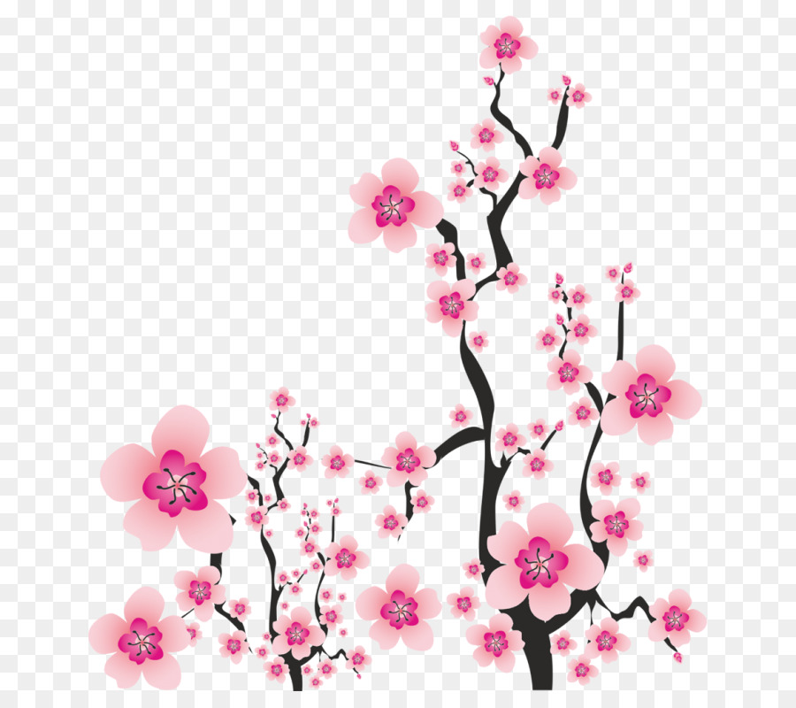 Branche De Fleurs，Fleur PNG