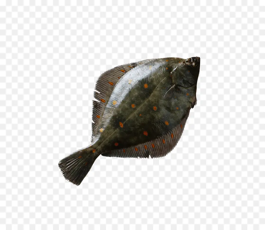 Poisson Plat，Poisson PNG