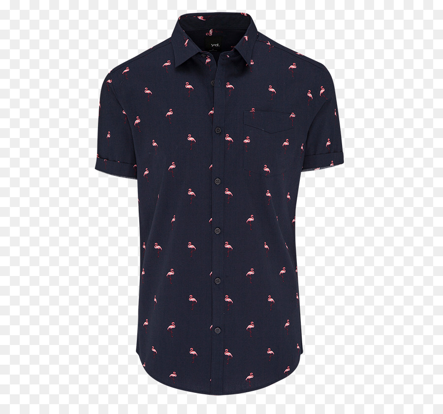 Chemise Polo，Polo De Tennis PNG