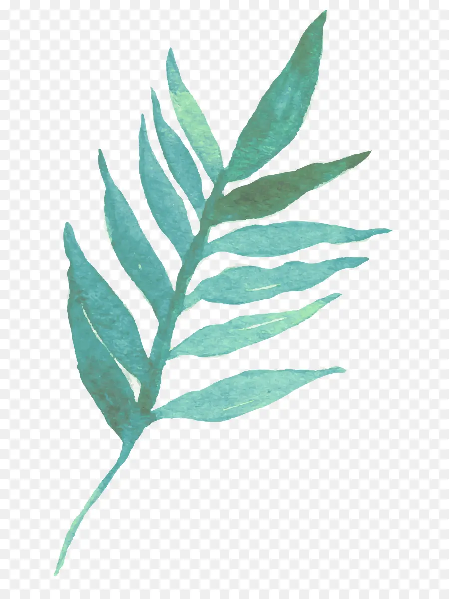 Feuille，Vert PNG