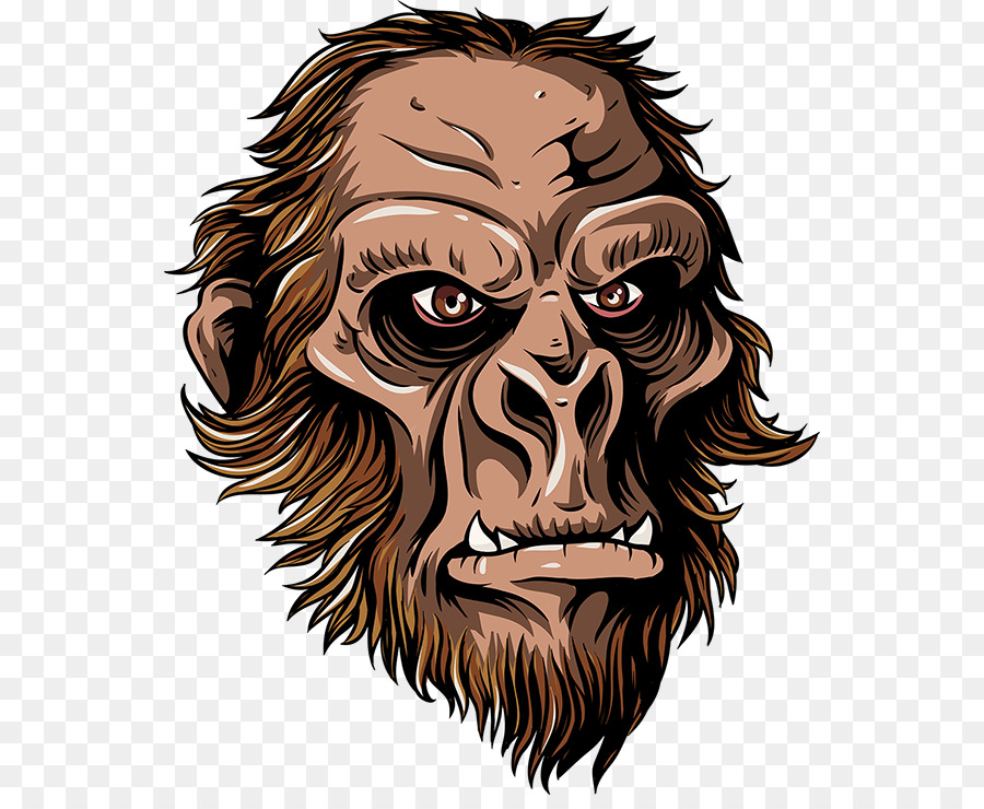 Illustration De Singe，Dessin PNG