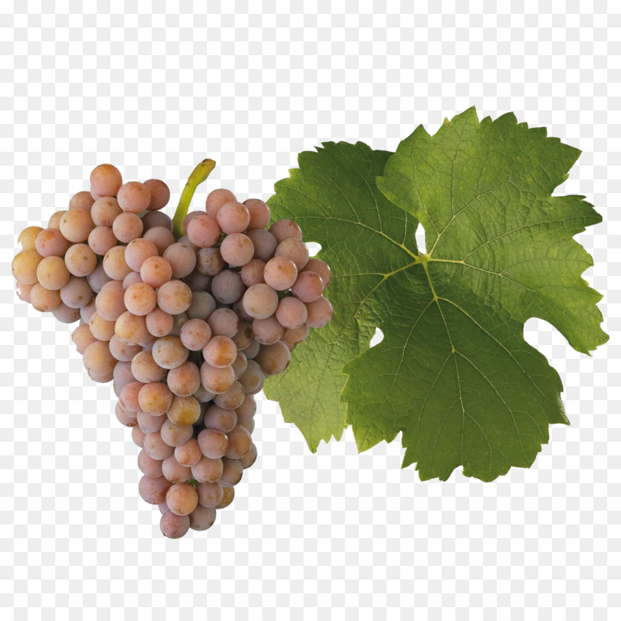 Raisins Verts，Feuille PNG