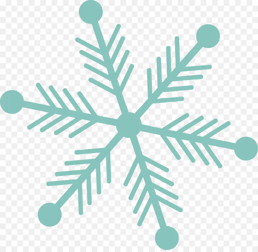 Flocon De Neige，Hiver PNG