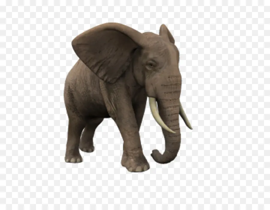 L éléphant D Afrique，L éléphant PNG