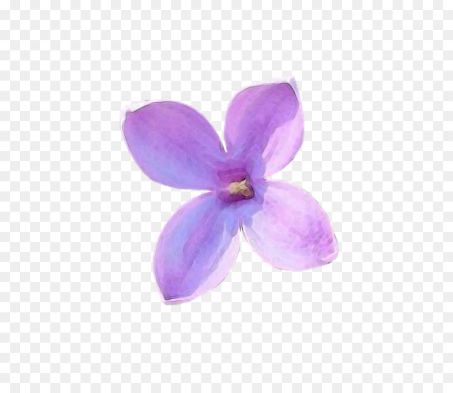 Fleur，Violet PNG