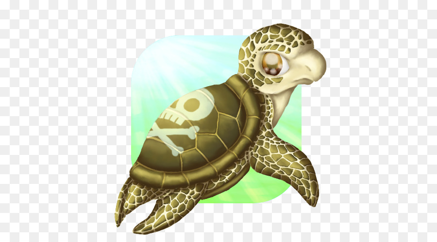 Tortue，Tortue De Mer PNG