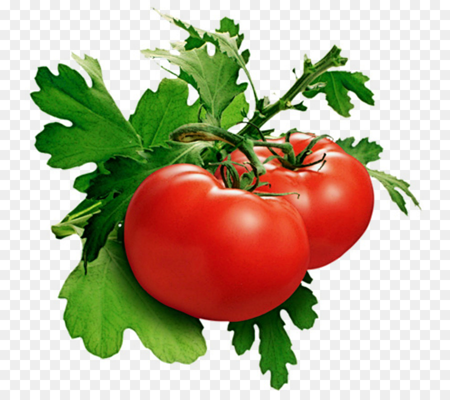 Tomates Rouges，Feuilles Vertes PNG