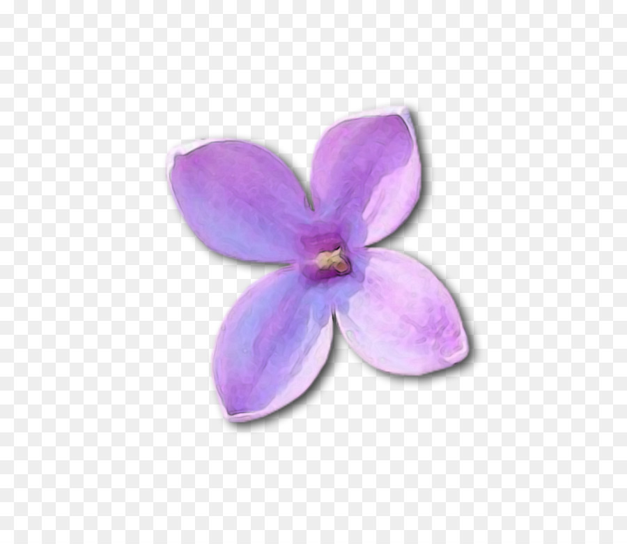 Fleurs，Violet PNG