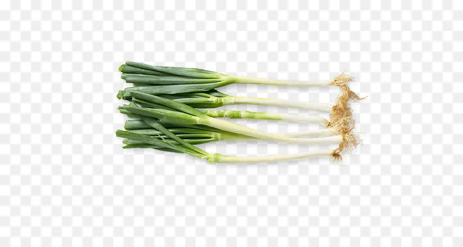 Oignons Verts，Nourriture PNG