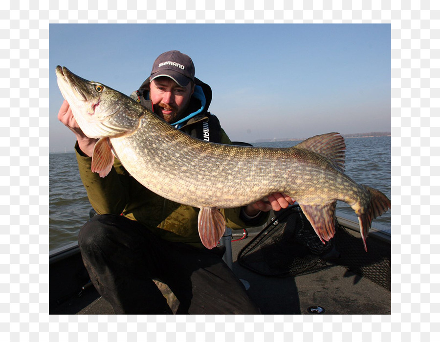 Brochet，La Pêche PNG