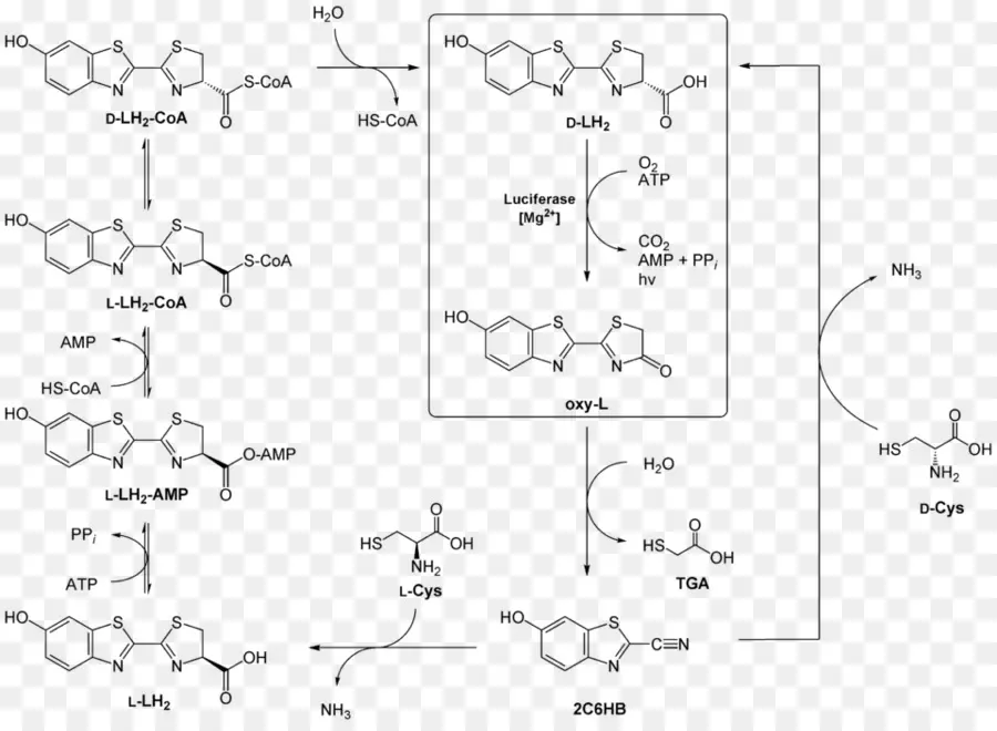 Réaction Chimique，Chimie PNG