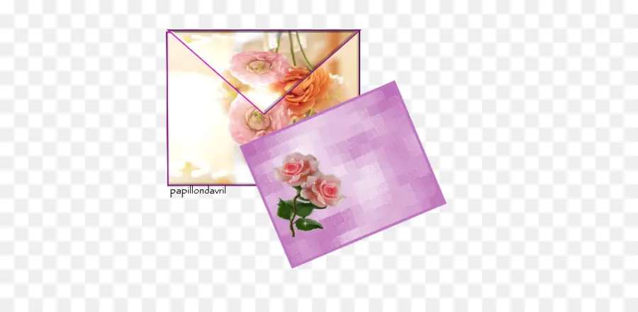 Enveloppe De Fleurs，Roses PNG