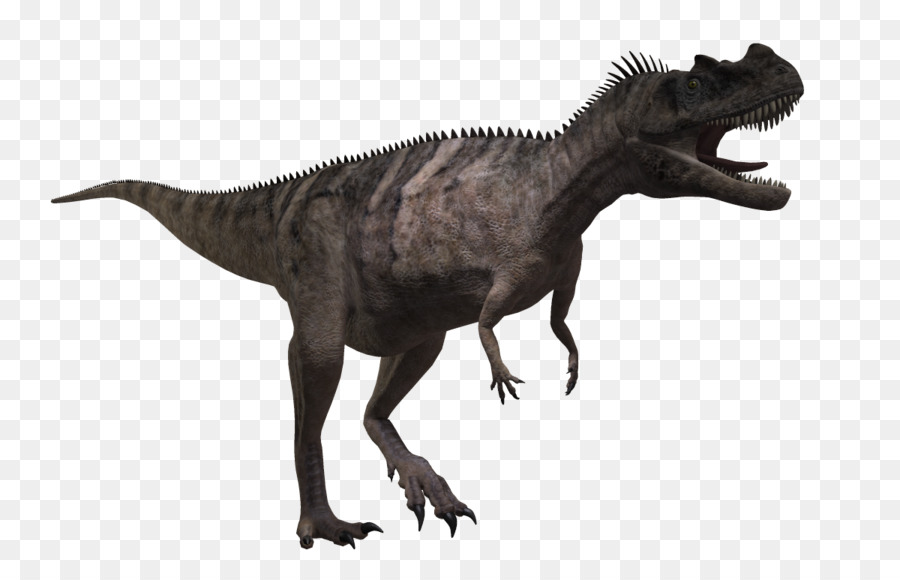 Ceratosaurus，Carnotaurus PNG