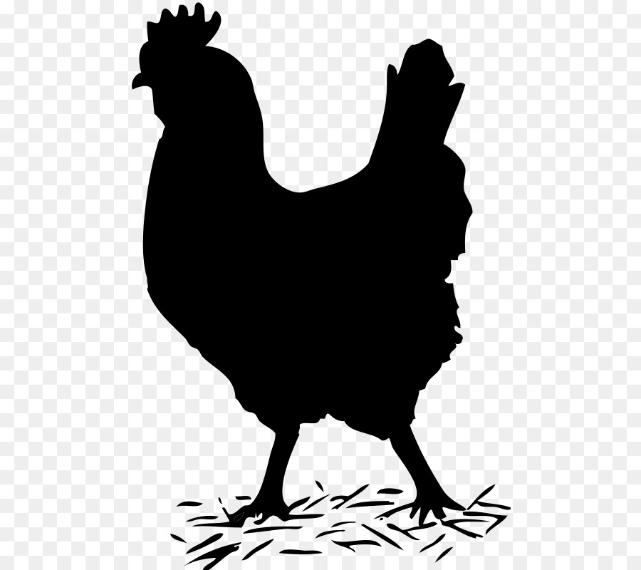 Silhouette De Poulet Noir，Volaille PNG