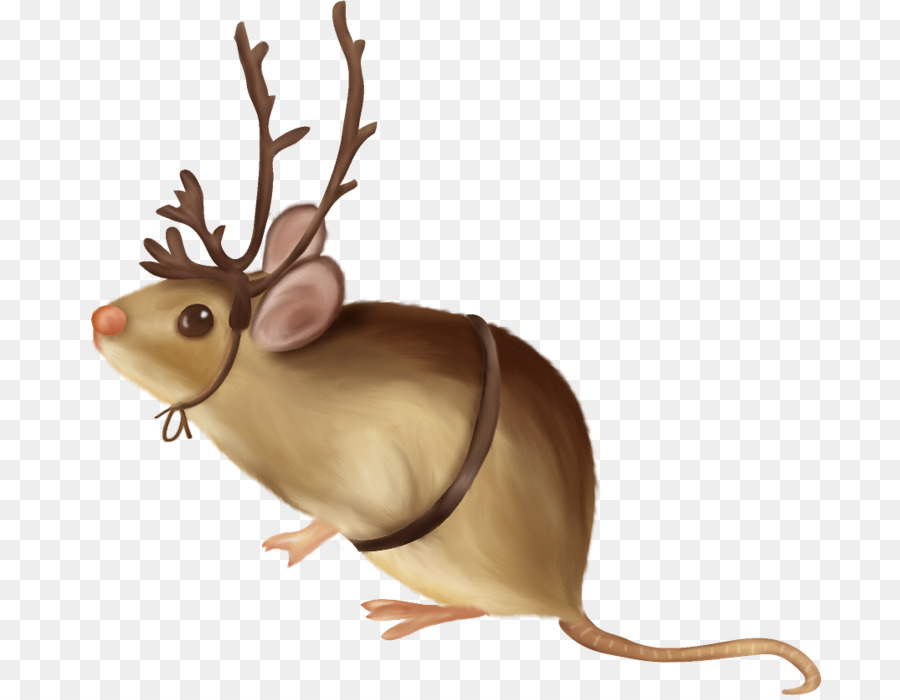 Souris，Rat PNG