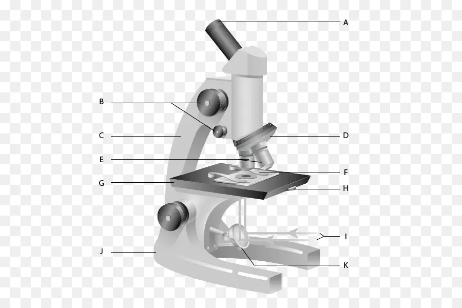 Microscope，Lentille PNG