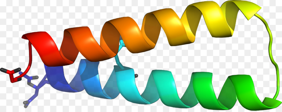 Hélice Protéique，Molécule PNG