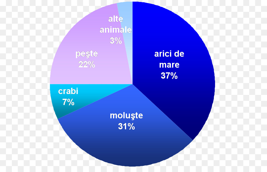 Loutre De Mer，La Loutre PNG