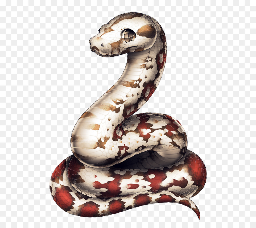 Boa Constrictor，Chien PNG