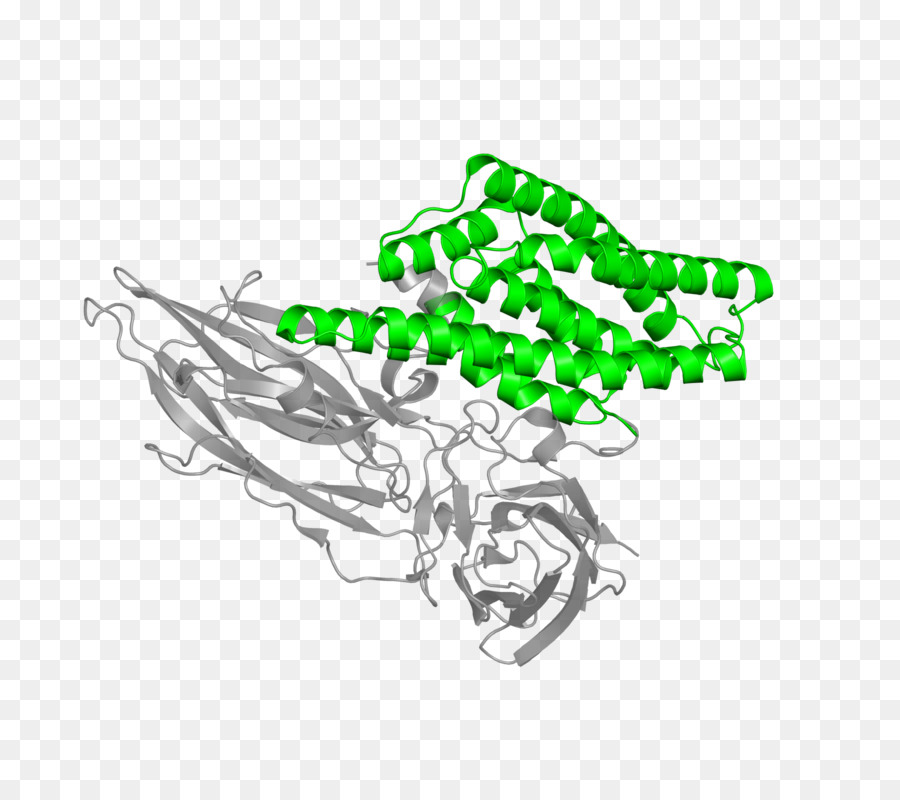 Endotoxine Delta，Endotoxine PNG