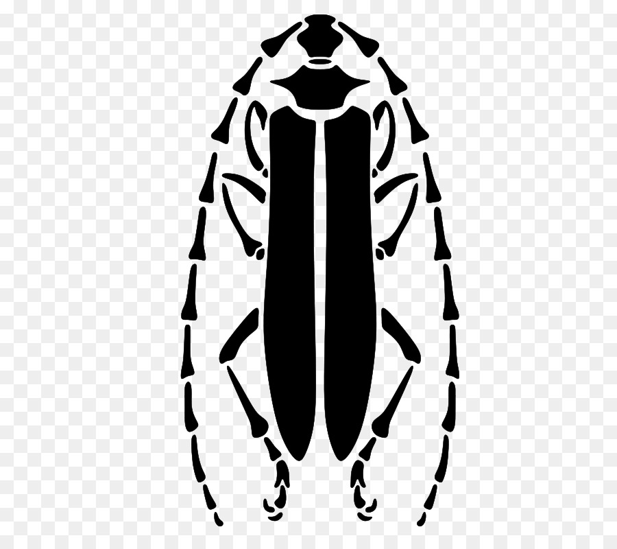 Insecte，Bogue PNG