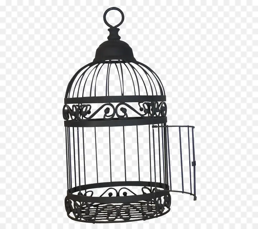 Cage à Oiseaux，Suspendu PNG