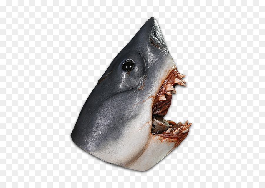 Requin，Terre Requin PNG