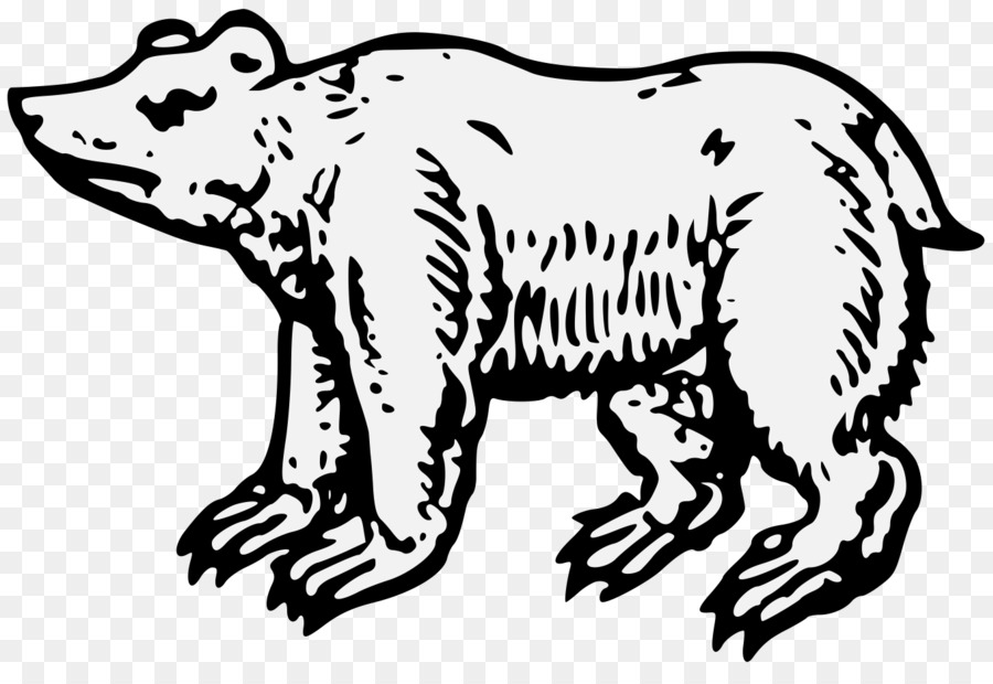 Dessin D'ours，Animal PNG