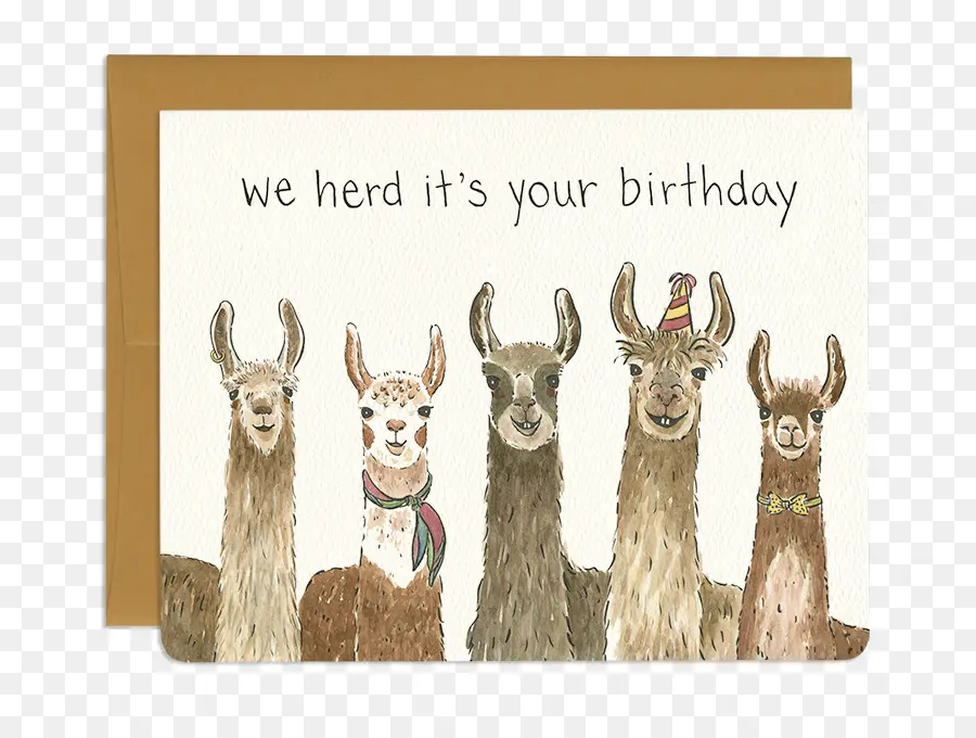 Carte D'anniversaire Lama，Lama PNG