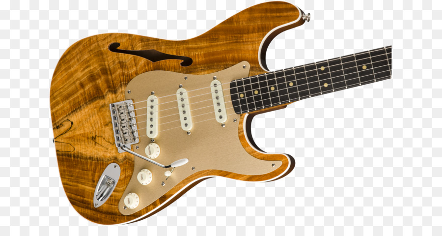 Fender Stratocaster，Fender Telecaster Thinline PNG