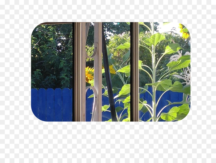 Jardin Majorelle，Bleu Majorelle PNG