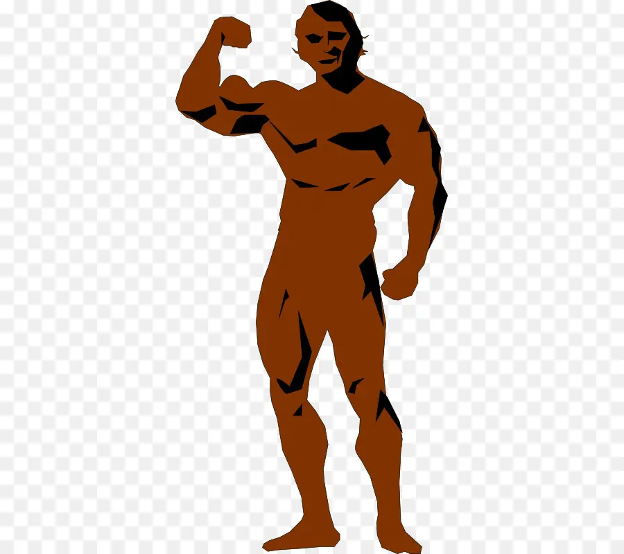 Culturiste，Muscles PNG