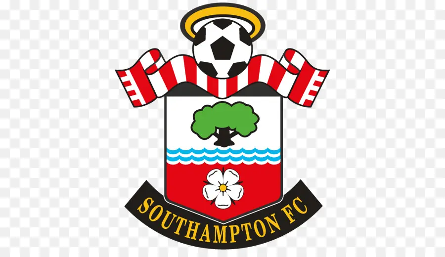 Southampton Fc，Club De Foot PNG