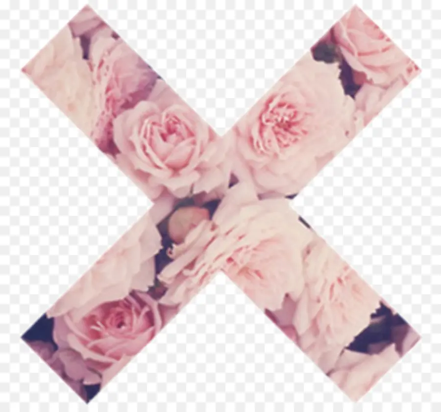 Floral X，Fleurs PNG