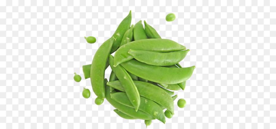 Pois Mange Tout，Légume PNG